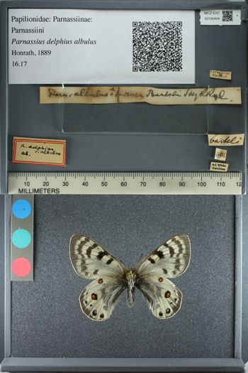 Media type: image;   Entomology 180404